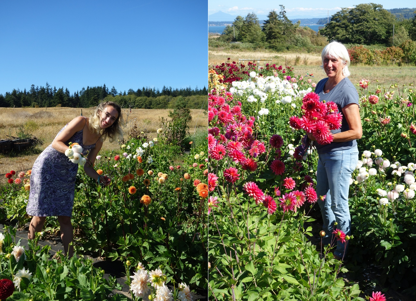 Episode 470 A Conversation With Kim Gruetter And Tonneli Gruetter Of Whidbey Island S Salty Acres Farm Debra Prinzing